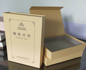 File box, book type box